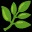 🌿